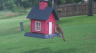 /Birds//Thumbs//found20250618-075343.png 