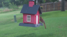 /Birds//Thumbs//found20250618-075356.png 