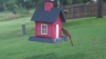 /Birds//Thumbs//found20250618-075432.png 