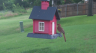 /Birds//Thumbs//found20250618-075441.png 