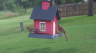 /Birds//Thumbs//found20250618-075535.png 