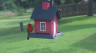 /Birds//Thumbs//found20250618-095803.png 