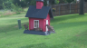 /Birds//Thumbs//found20250618-100225.png 