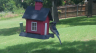/Birds//Thumbs//found20250618-130757.png 