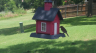 /Birds//Thumbs//found20250618-131118.png 