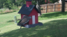 /Birds//Thumbs//found20250622-164139.png 