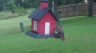 /Birds//Thumbs//found20250626-073744.png 