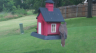 /Birds//Thumbs//found20250703-094130.png 
