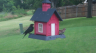 /Birds//Thumbs//found20250703-094640.png 