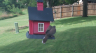 /Birds//Thumbs//found20250706-164840.png 