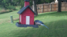 /Birds//Thumbs//found20250706-173144.png 