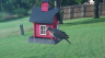 /Birds//Thumbs//found20250708-192347.png 
