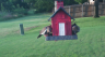 /Birds//Thumbs//found20250708-195211.png 