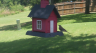 /Birds//Thumbs//found20250710-134729.png 