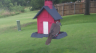 /Birds//Thumbs//found20250710-145348.png 