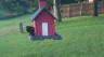 /Birds//Thumbs//found20250710-194951.png 