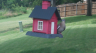 /Birds//Thumbs//found20250712-152820.png 