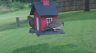 /Birds//Thumbs//found20250713-113437.png 