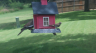 /Birds//Thumbs//found20250713-132639.png 