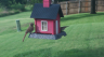 /Birds//Thumbs//found20250713-183145.png 