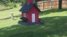 /Birds//Thumbs//found20250714-161032.png 