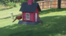 /Birds//Thumbs//found20250714-161337.png 