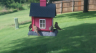 /Birds//Thumbs//found20250714-172757.png 