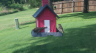 /Birds//Thumbs//found20250714-174243.png 