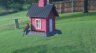 /Birds//Thumbs//found20250714-191122.png 