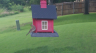 /Birds//Thumbs//found20250715-183907.png 