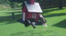 /Birds//Thumbs//found20250717-102507.png 