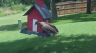 /Birds//Thumbs//found20250717-133351.png 