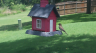 /Birds//Thumbs//found20250717-133529.png 