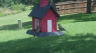 /Birds//Thumbs//found20250717-134151.png 
