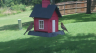 /Birds//Thumbs//found20250717-134447.png 