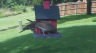 /Birds//Thumbs//found20250717-153730.png 