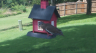 /Birds//Thumbs//found20250717-155215.png 