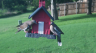 /Birds//Thumbs//found20250717-191218.png 