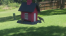 /Birds//Thumbs//found20250718-125825.png 