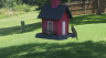 /Birds//Thumbs//found20250718-130207.png 