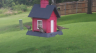 /Birds//Thumbs//found20250718-131417.png 