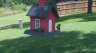 /Birds//Thumbs//found20250718-140825.png 