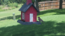 /Birds//Thumbs//found20250718-140919.png 