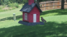 /Birds//Thumbs//found20250718-140929.png 