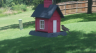 /Birds//Thumbs//found20250718-141007.png 