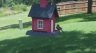 /Birds//Thumbs//found20250718-141011.png 