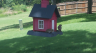 /Birds//Thumbs//found20250718-141943.png 