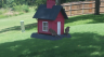 /Birds//Thumbs//found20250718-142006.png 
