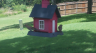 /Birds//Thumbs//found20250718-142122.png 