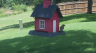 /Birds//Thumbs//found20250718-142125.png 